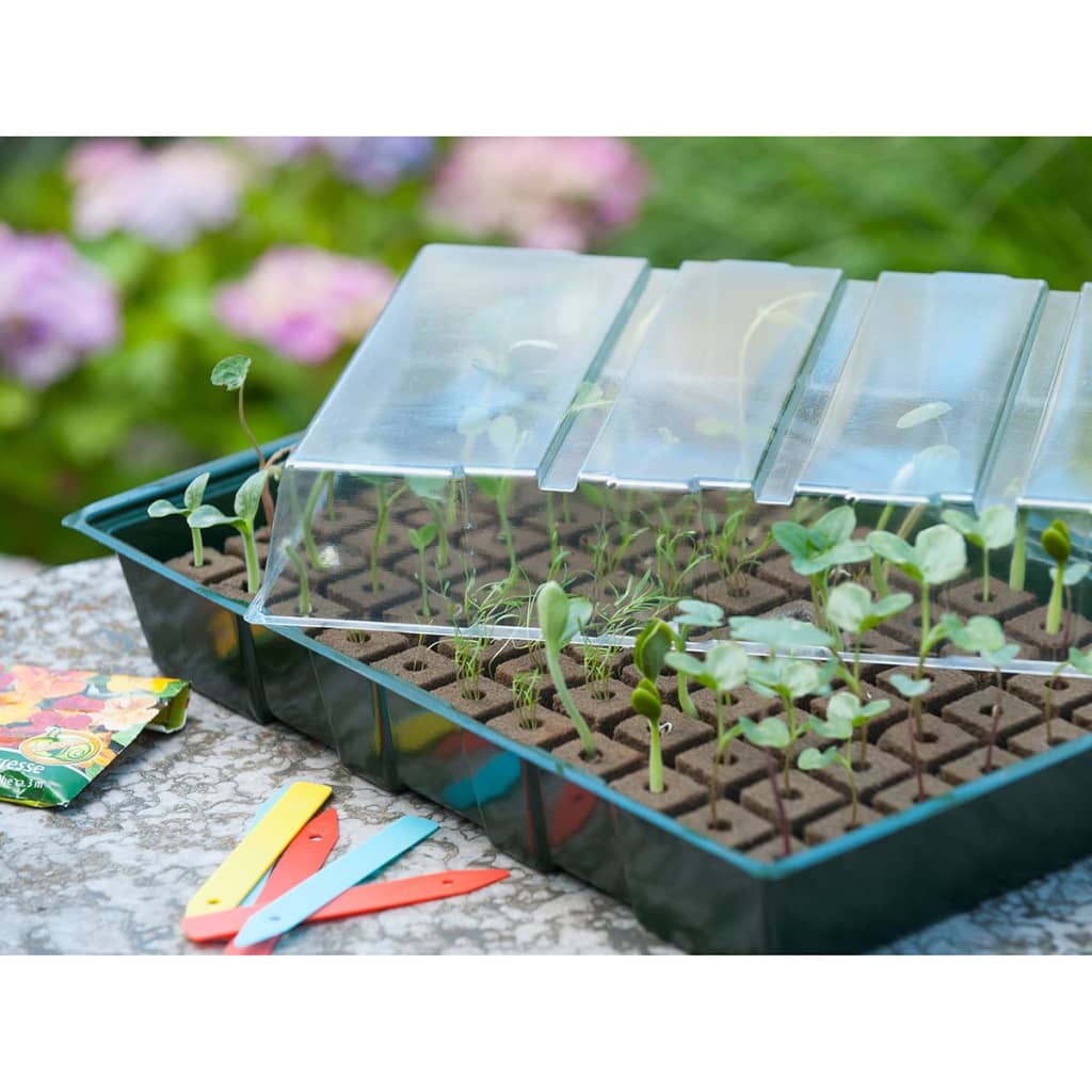 Nature Mini kit propagator, 7 x 11 celule