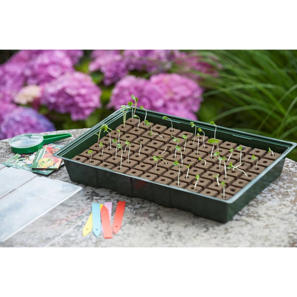 Nature Mini kit propagator, 7 x 11 celule