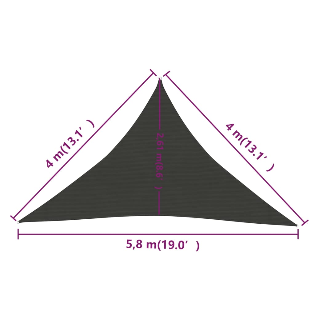 Pânză parasolar, antracit, 4x4x5,8 m, HDPE, 160 g/m²