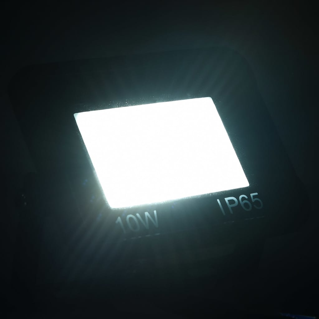 Proiectoare cu LED, 10 W, 2 buc., alb rece