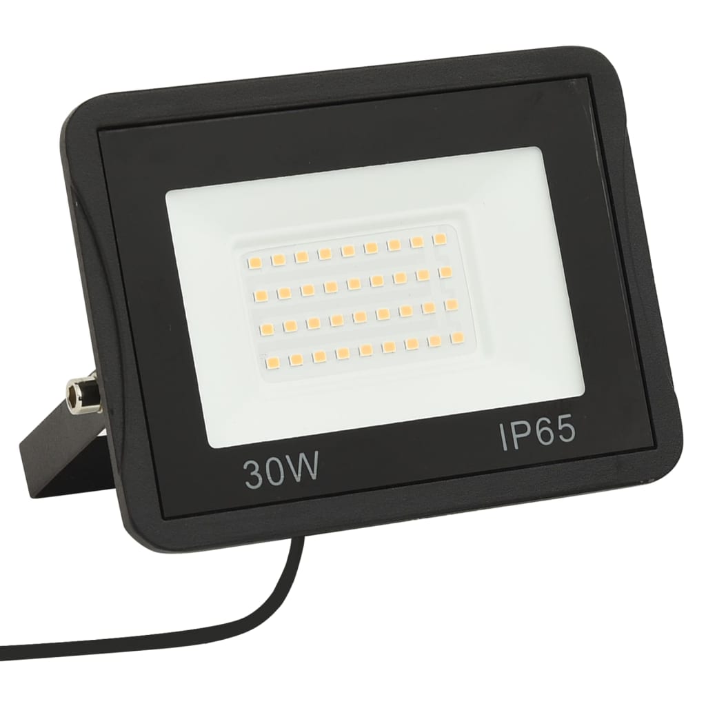 Proiector cu LED, 30 W, alb rece