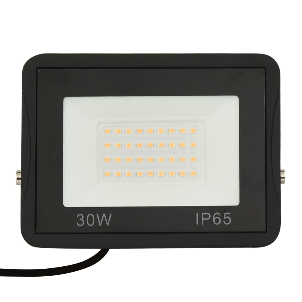 Proiector cu LED, 30 W, alb rece