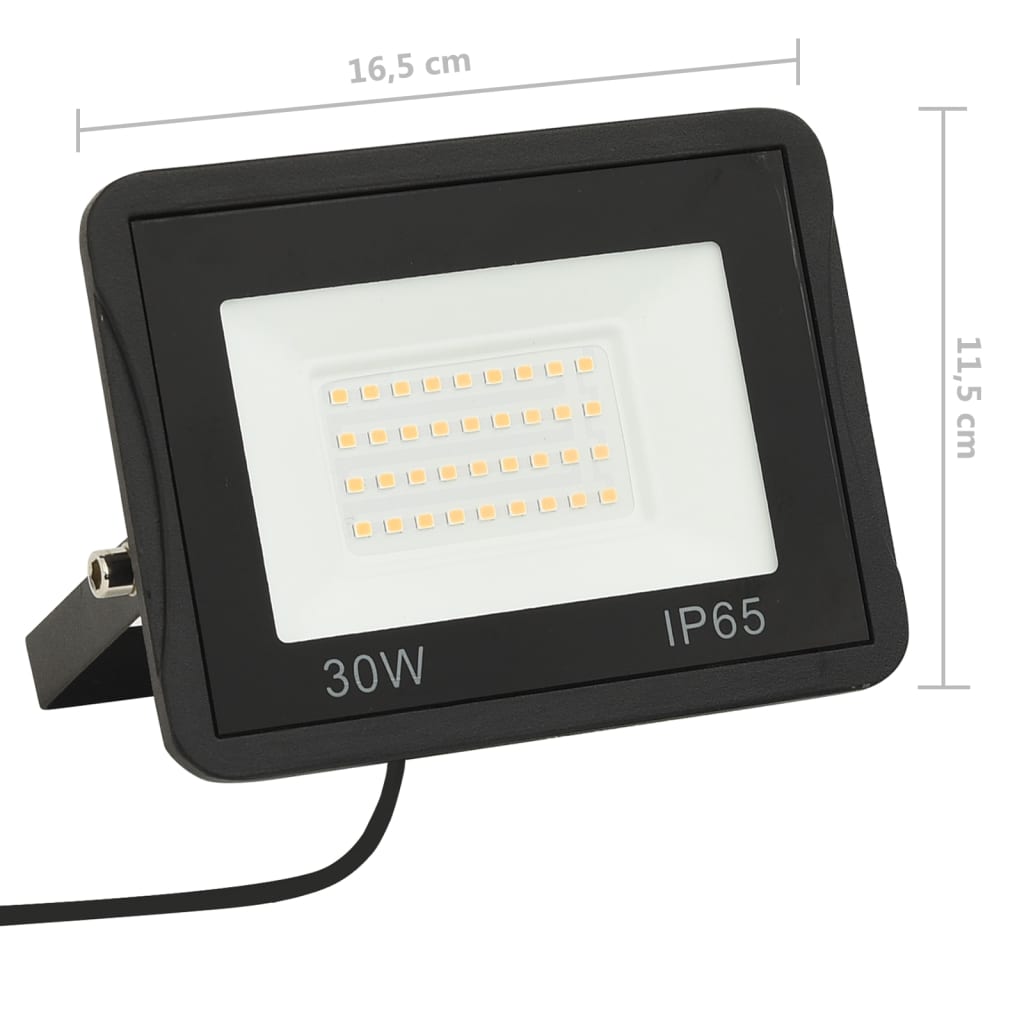 Proiector cu LED, 30 W, alb rece