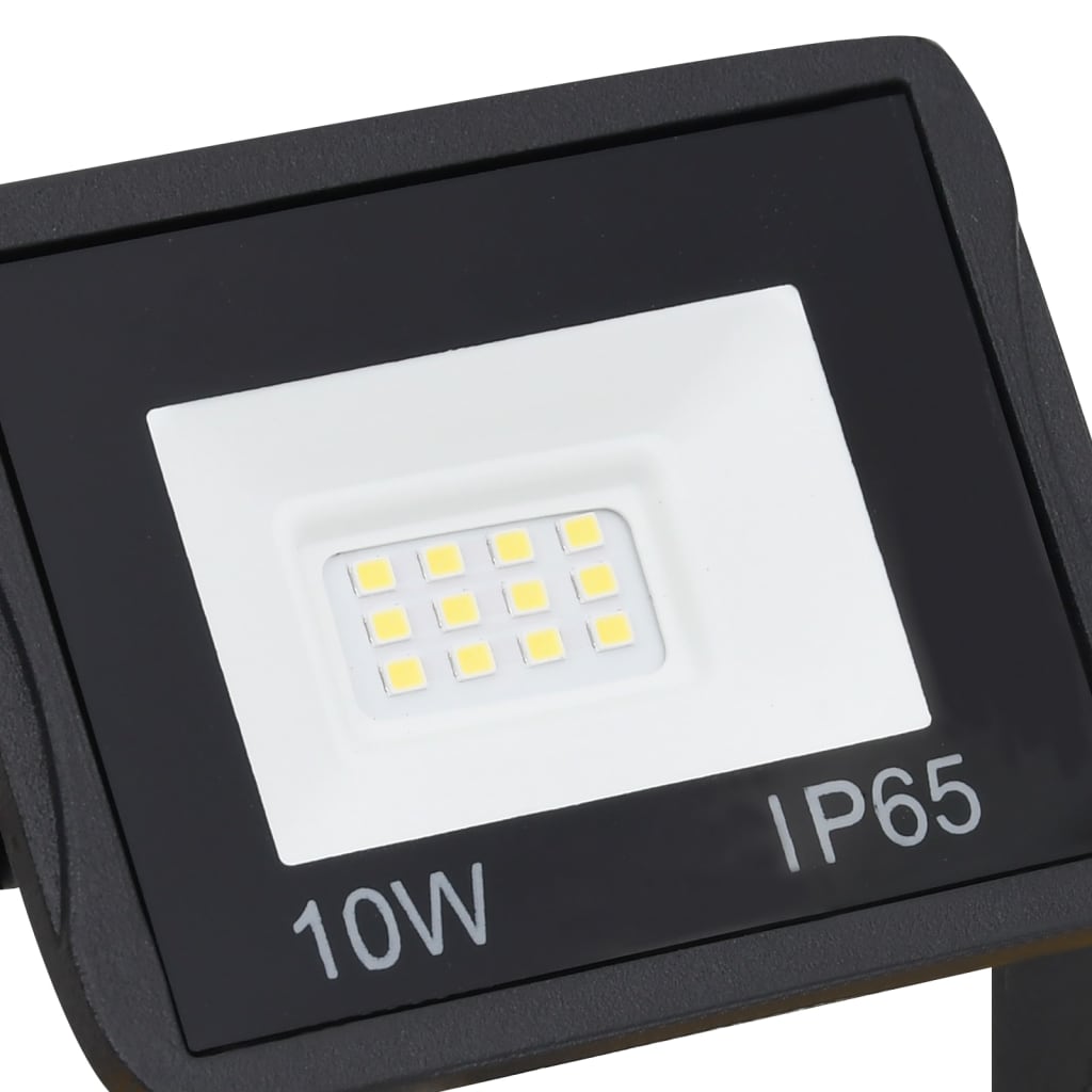 Proiector cu LED și mâner, 2x10 W, alb cald